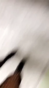 Nikki DelanoXXX [ nikkidelano ] Onlyfans leaked video 18230993 on Hotleaks.tv