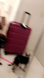 Nikki DelanoXXX [ nikkidelano ] Onlyfans leaked video 18231045 on Hotleaks.tv