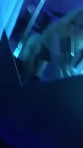 18231401