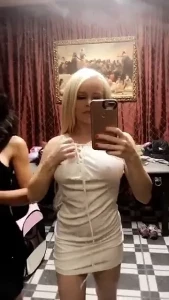 18231419