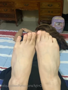 16329068