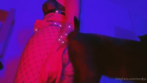 𝒏𝒐𝒓𝒅𝒍𝒚𝒔 ⛓ [ nordlys ] Onlyfans leaked video 10833923 on Hotleaks.tv