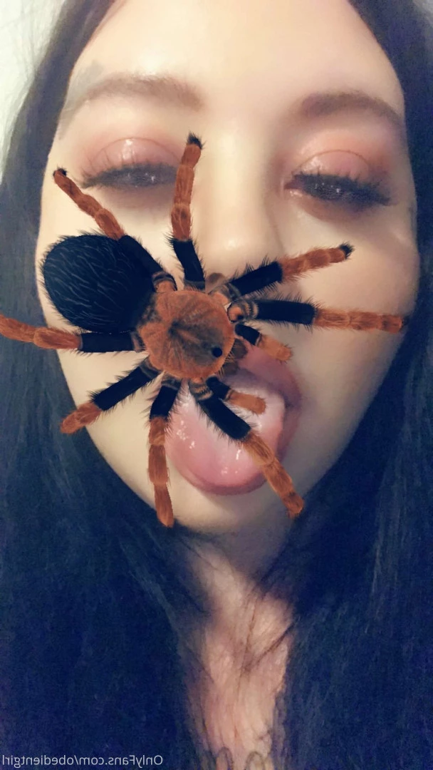 dakota [ obedientgirl ] Onlyfans leaked photo 9180973 on Hotleaks.tv