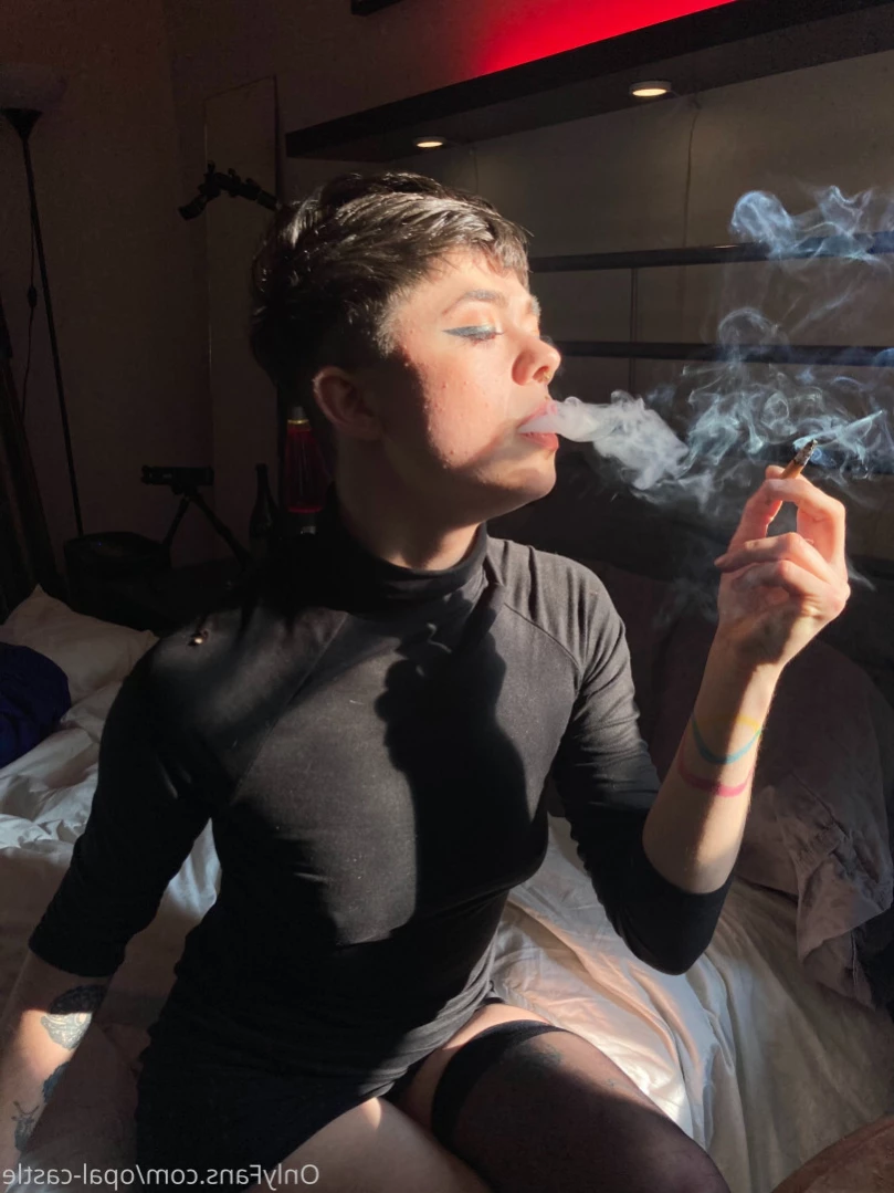 Opal's Castle [ opalcastlexxx ] Onlyfans leaked photo 13354456 on Hotleaks.tv