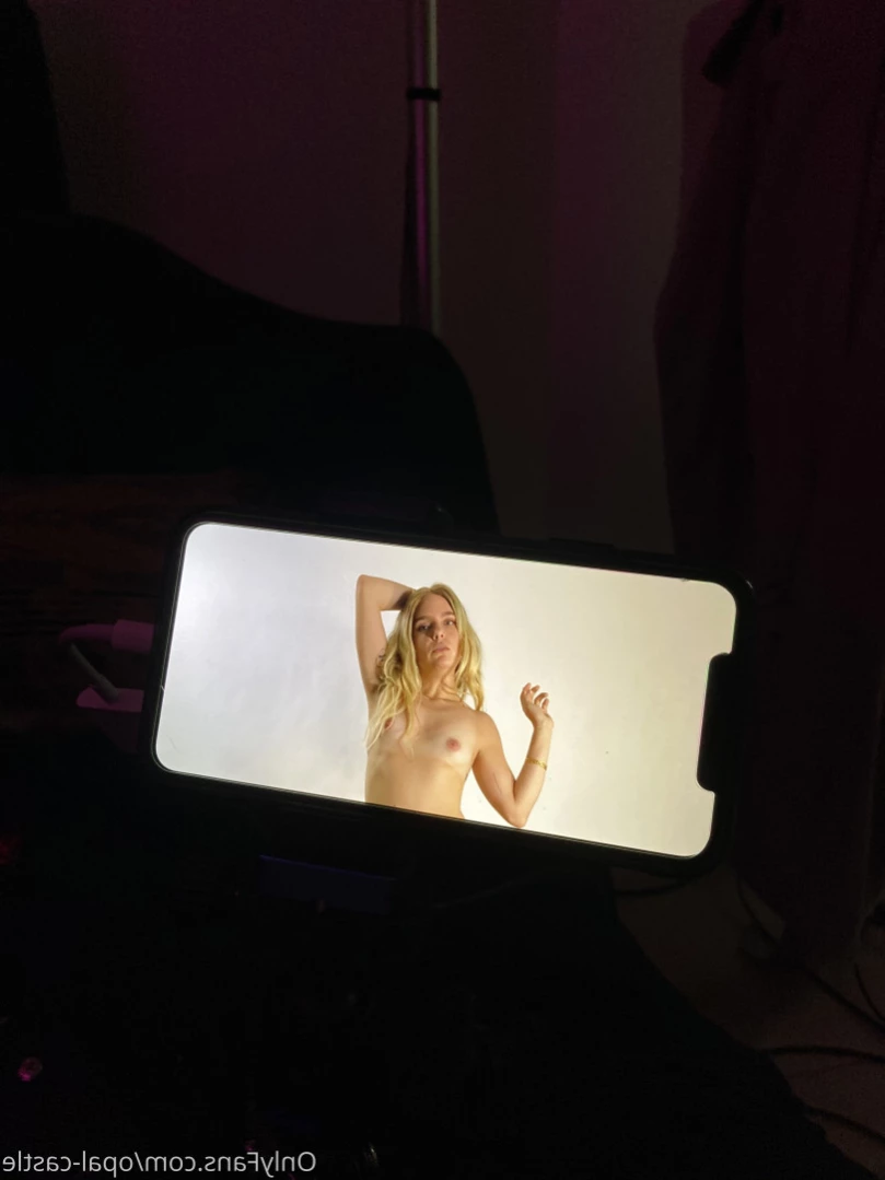 Opal's Castle [ opalcastlexxx ] Onlyfans leaked photo 13355938 on Hotleaks.tv