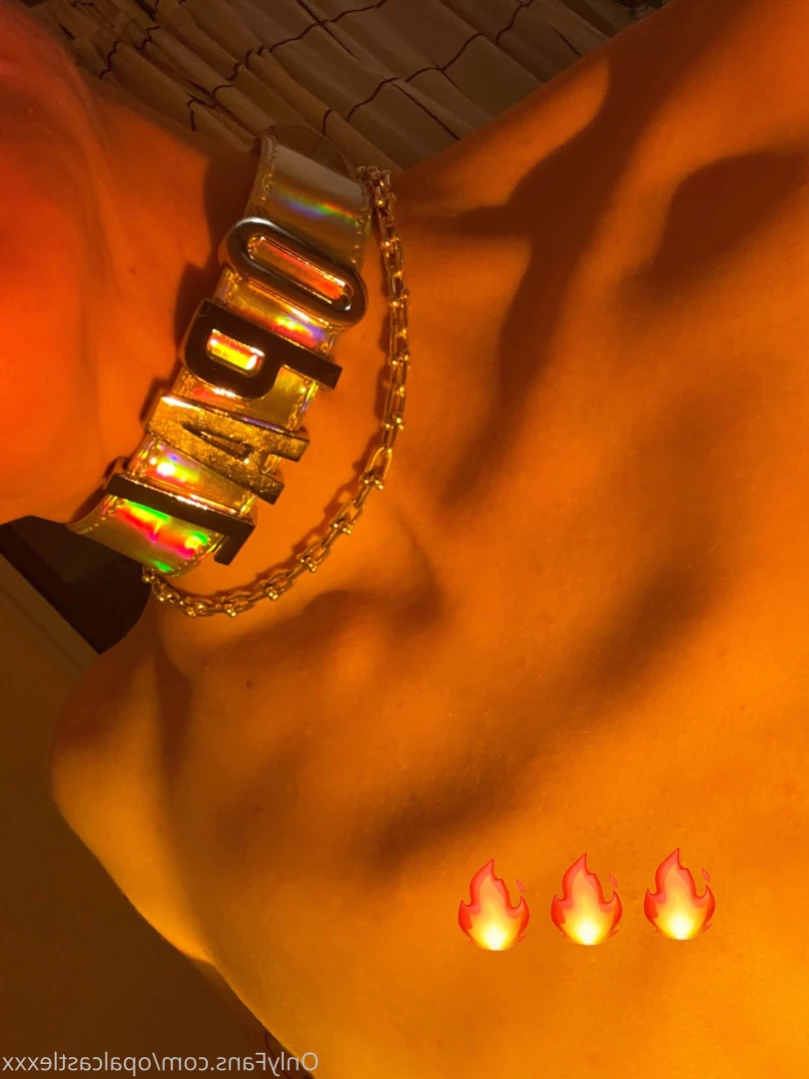 Opal's Castle [ opalcastlexxx ] Onlyfans leaked photo 13356942 on Hotleaks.tv