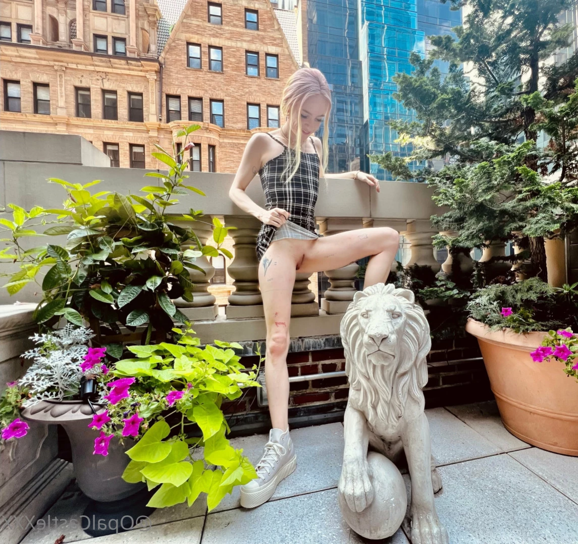 Opal's Castle [ opalcastlexxx ] Onlyfans leaked photo 13532487 on Hotleaks.tv