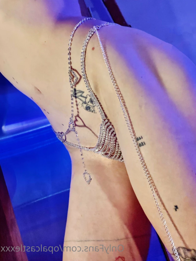 Opal's Castle [ opalcastlexxx ] Onlyfans leaked photo 13837187 on Hotleaks.tv