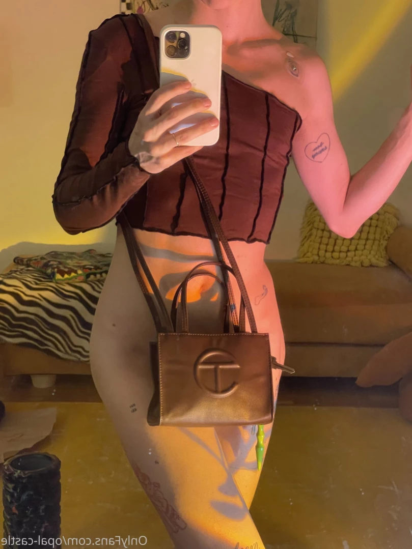 Opal's Castle [ opalcastlexxx ] Onlyfans leaked photo 15359327 on Hotleaks.tv