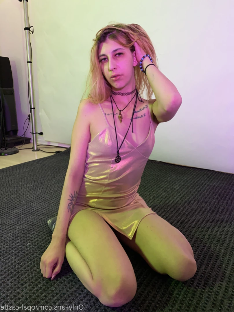 Opal's Castle [ opalcastlexxx ] Onlyfans leaked photo 15359349 on Hotleaks.tv