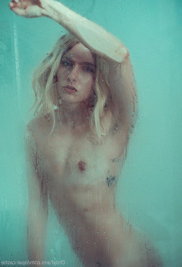 Opal's Castle [ opalcastlexxx ] Onlyfans leaked photo 16257068 on Hotleaks.tv