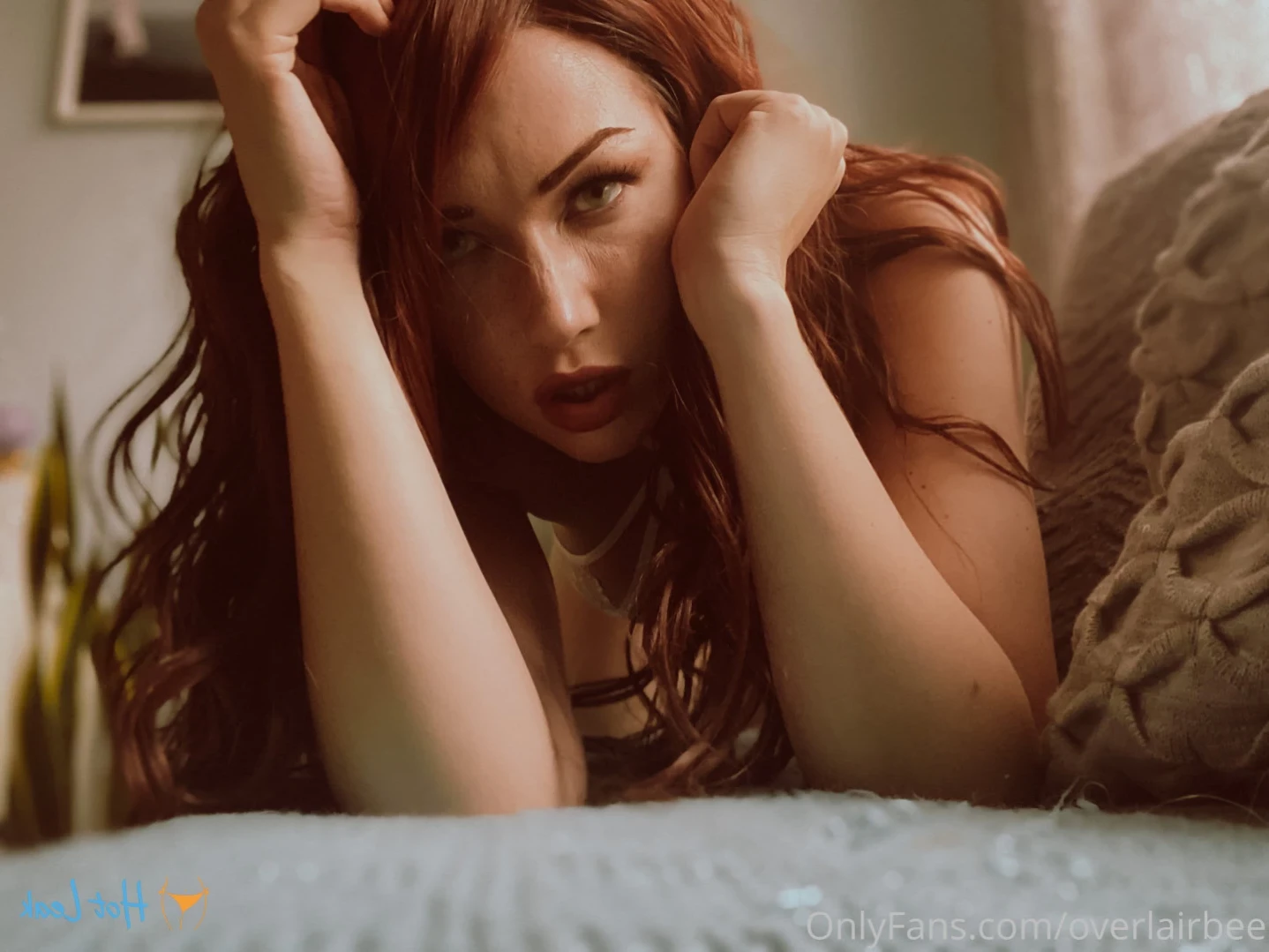 Bee (Naked News/Suicidegirls/Playboy tv) [ overlairbee ] Onlyfans leaked photo 12857593 on Hotleaks.tv