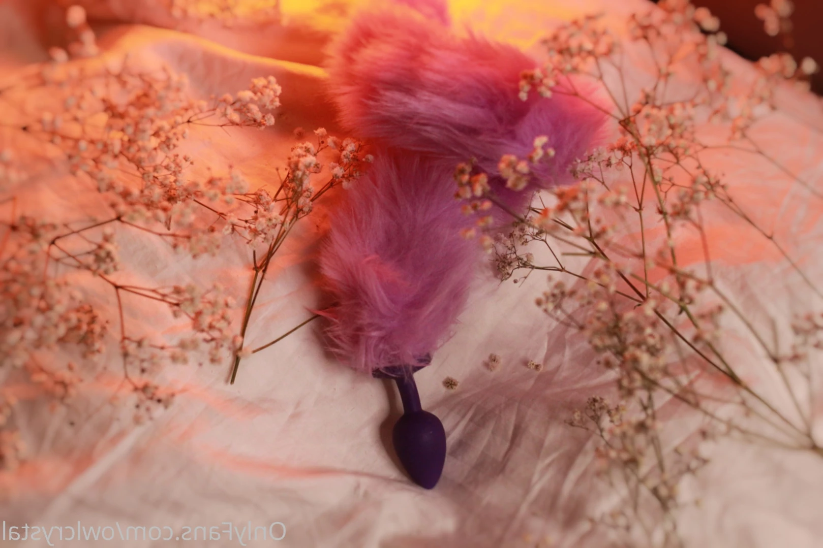 owlcrystal Onlyfans leaked photo 11971072 on Hotleaks.tv
