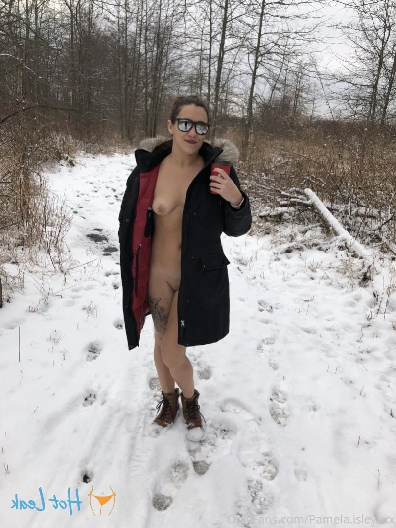 Pamela isley [ pamela_isleyxxx ] Onlyfans leaked photo 13935458 on Hotleaks.tv