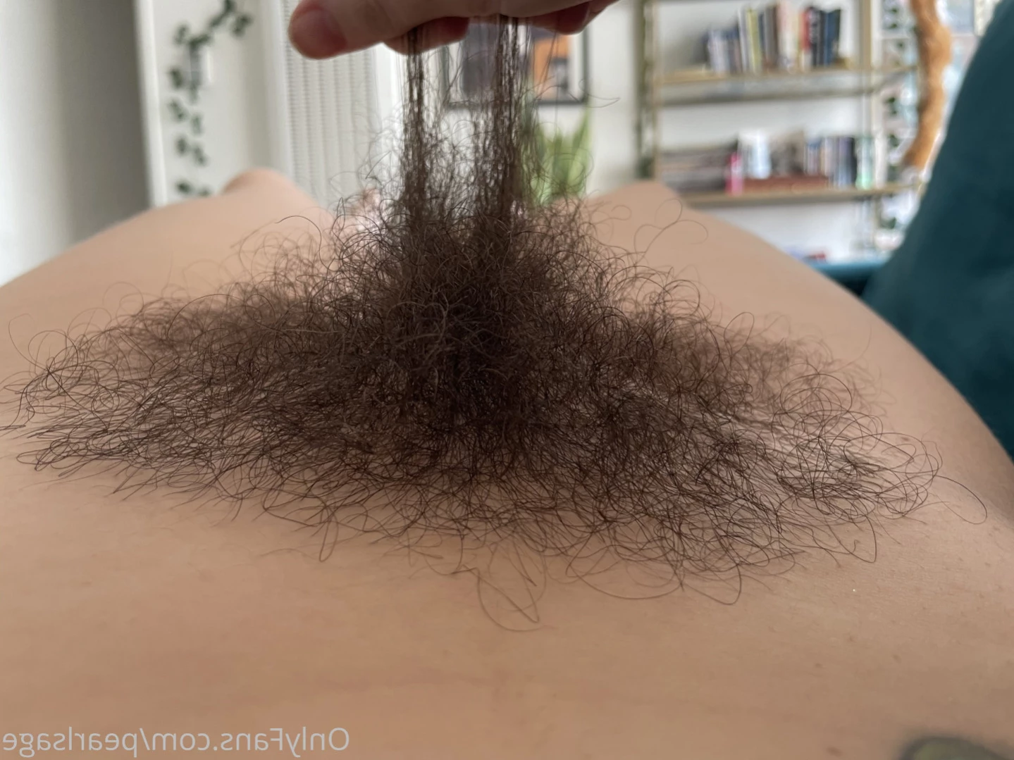 Pearl Sage🌼Hairy Princess [ pearlsage ] Onlyfans leaked photo 13341717 on Hotleaks.tv