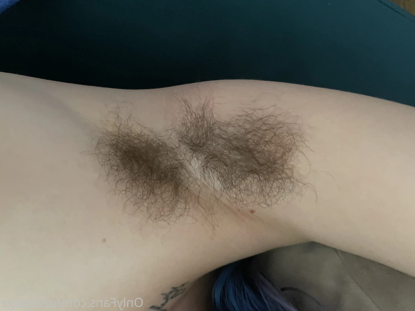 Pearl Sage🌼Hairy Princess [ pearlsage ] Onlyfans leaked photo 13350896 on Hotleaks.tv