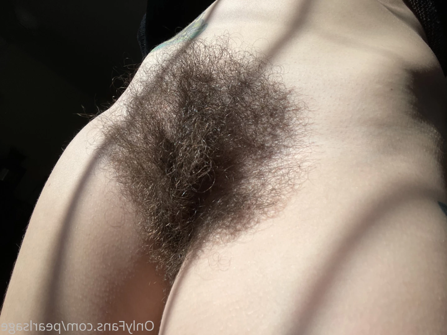 Pearl Sage🌼Hairy Princess [ pearlsage ] Onlyfans leaked photo 16204266 on Hotleaks.tv