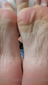 7995971