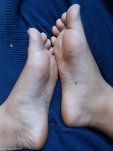 15362004