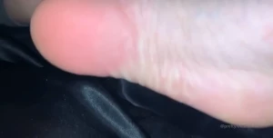 7993976