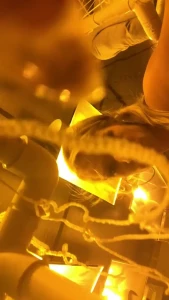Rachael Cavalli [ rachaelcavalli ] Onlyfans leaked video 7990431 on Hotleaks.tv