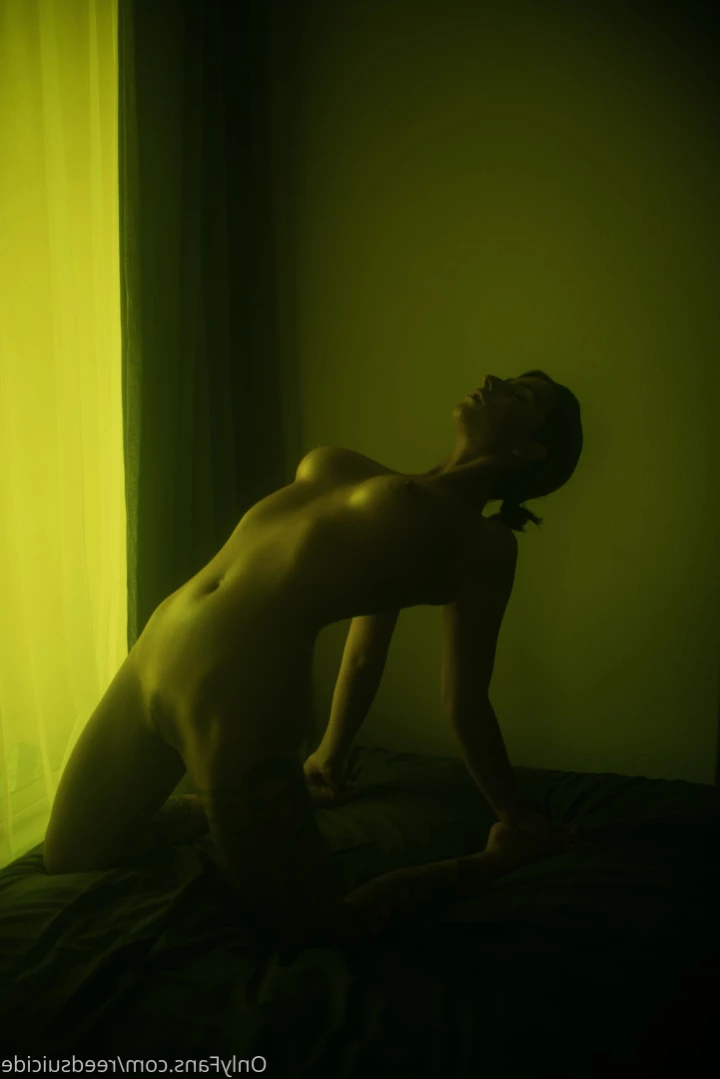 Reed [ reedsuicide ] Onlyfans leaked photo 13568469 on Hotleaks.tv