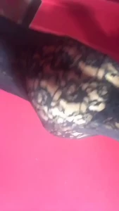 MSRZLEWIS [ rifkazorean ] Onlyfans leaked video 7984933 on Hotleaks.tv