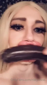 18230202