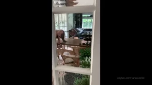 Ryan Conner [ ryanconner69 ] Onlyfans leaked video 7981630 on Hotleaks.tv