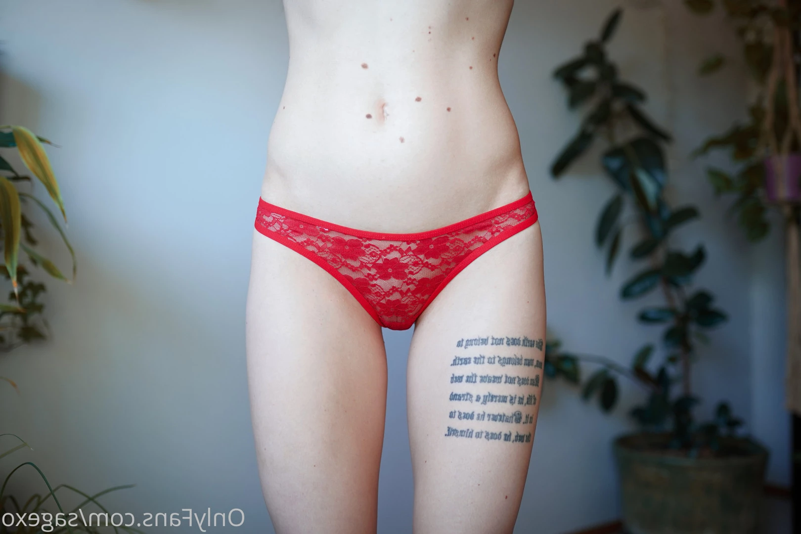 Sage 🤍 read my bio [ sagexo ] Onlyfans leaked photo 10204335 on Hotleaks.tv