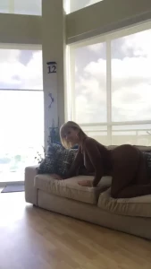 Sara Jay [ sarajay ] Onlyfans leaked video 7978512 on Hotleaks.tv