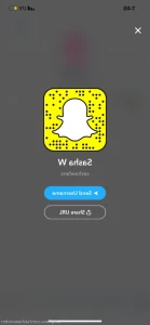 16159622