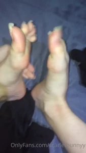 7976154