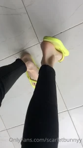 7976175