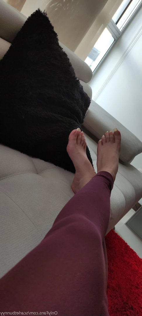 ScarletBunny [ scarletbunnyy ] Onlyfans leaked photo 11832836 on Hotleaks.tv