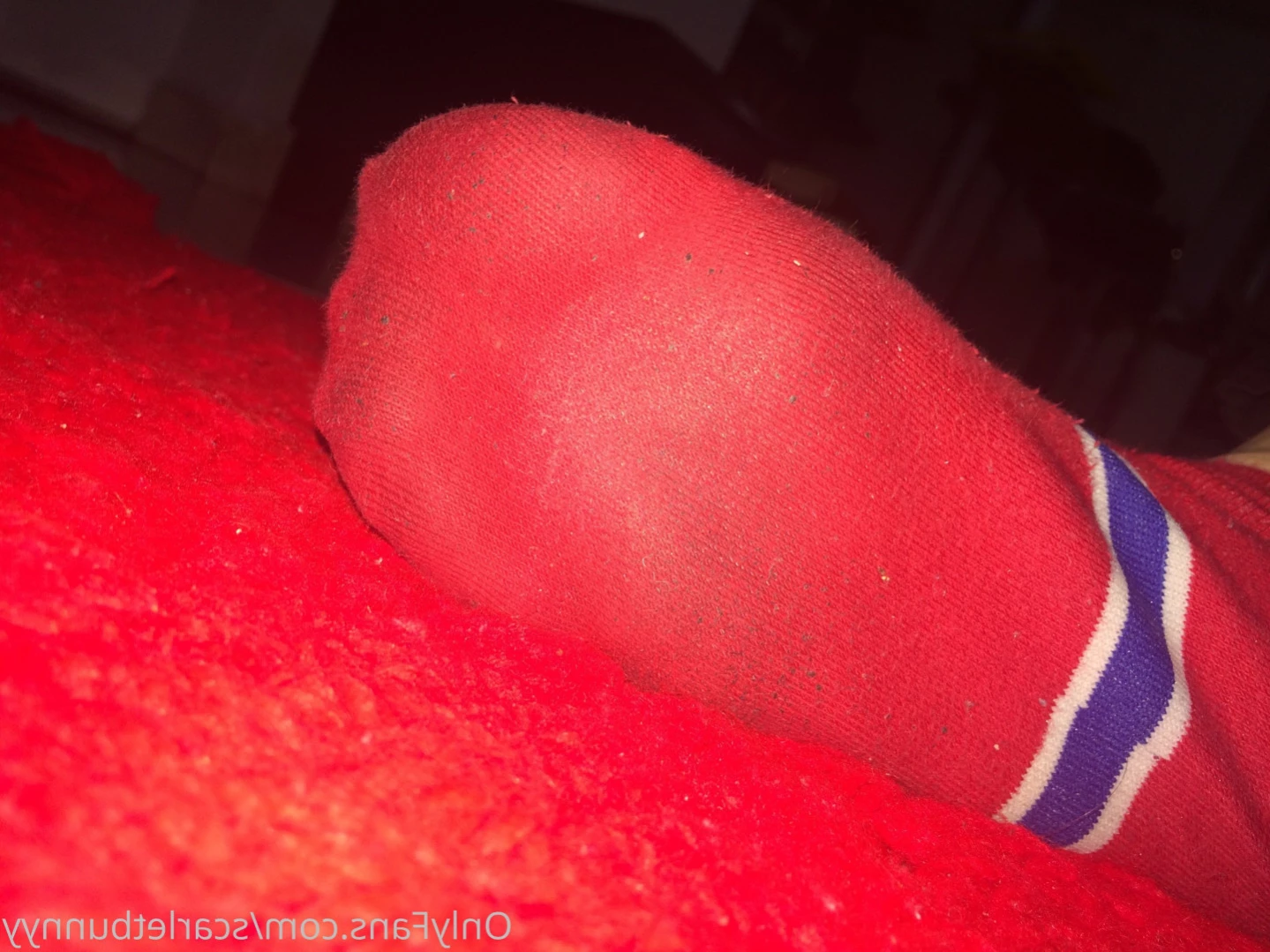 ScarletBunny [ scarletbunnyy ] Onlyfans leaked photo 14264867 on Hotleaks.tv