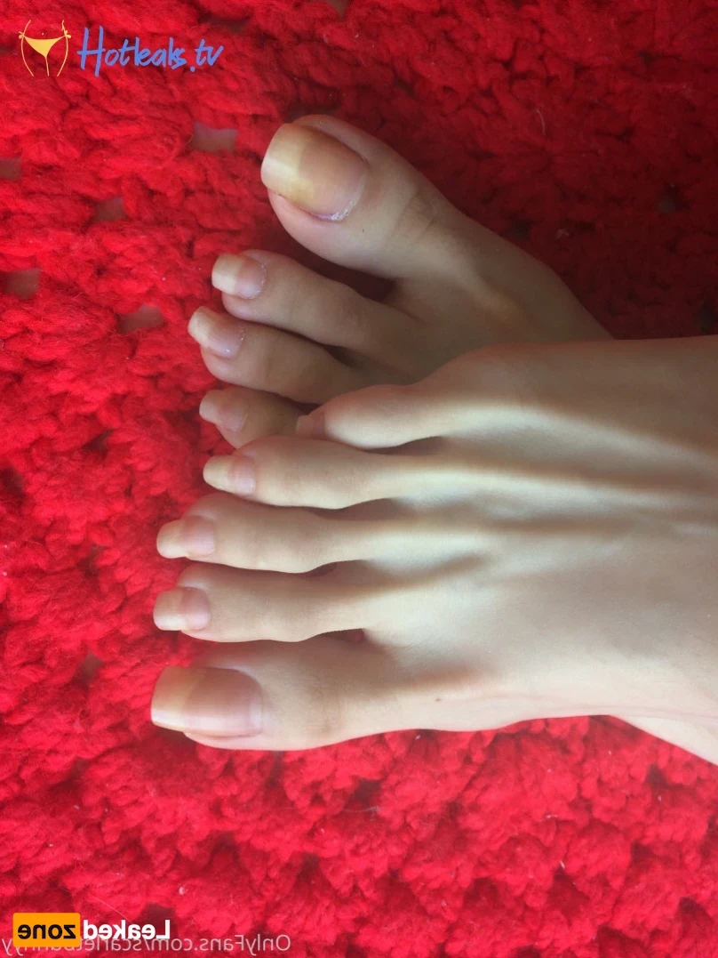 ScarletBunny [ scarletbunnyy ] Onlyfans leaked photo 14286660 on Hotleaks.tv