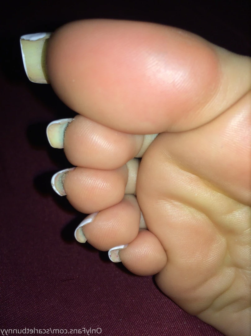 ScarletBunny [ scarletbunnyy ] Onlyfans leaked photo 14342972 on Hotleaks.tv