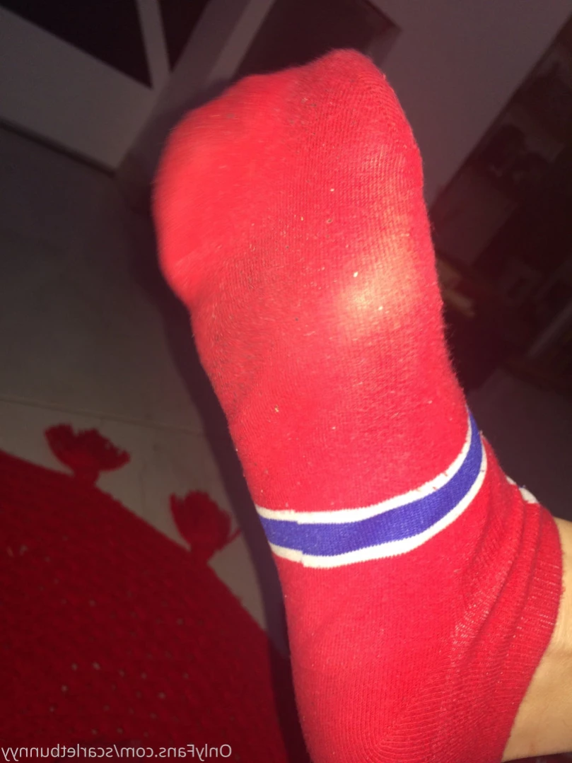 ScarletBunny [ scarletbunnyy ] Onlyfans leaked photo 14351180 on Hotleaks.tv