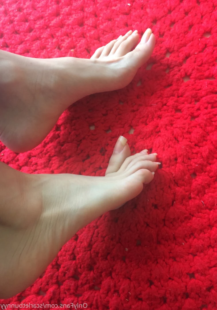 ScarletBunny [ scarletbunnyy ] Onlyfans leaked photo 14357884 on Hotleaks.tv