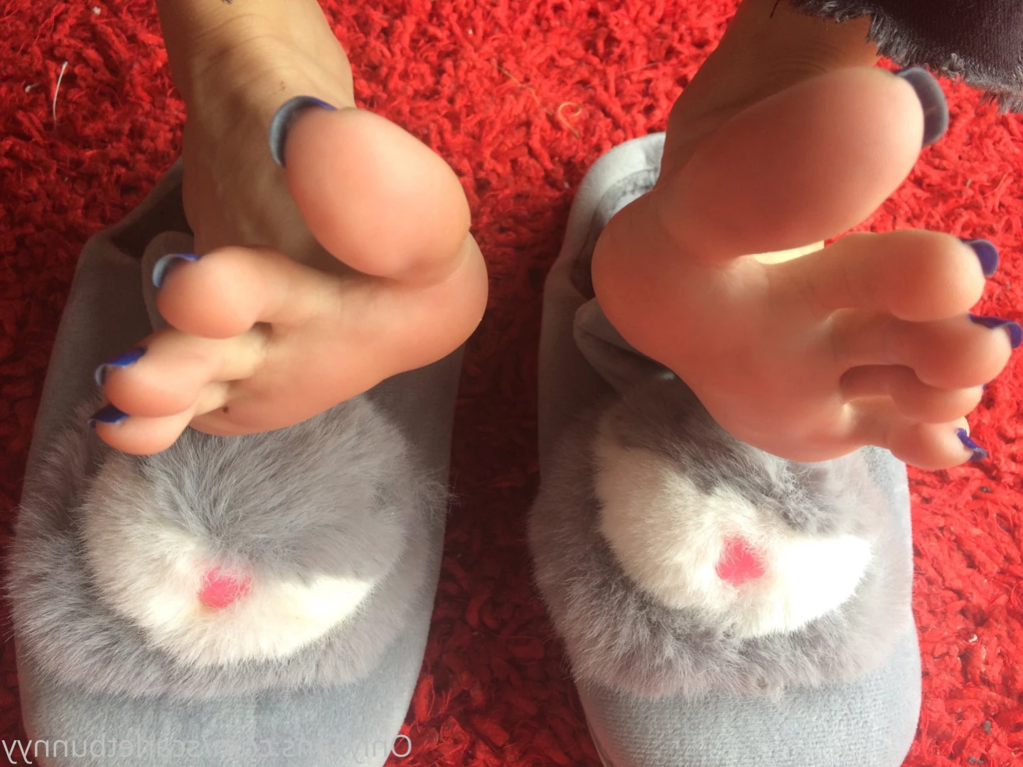 ScarletBunny [ scarletbunnyy ] Onlyfans leaked photo 14729019 on Hotleaks.tv
