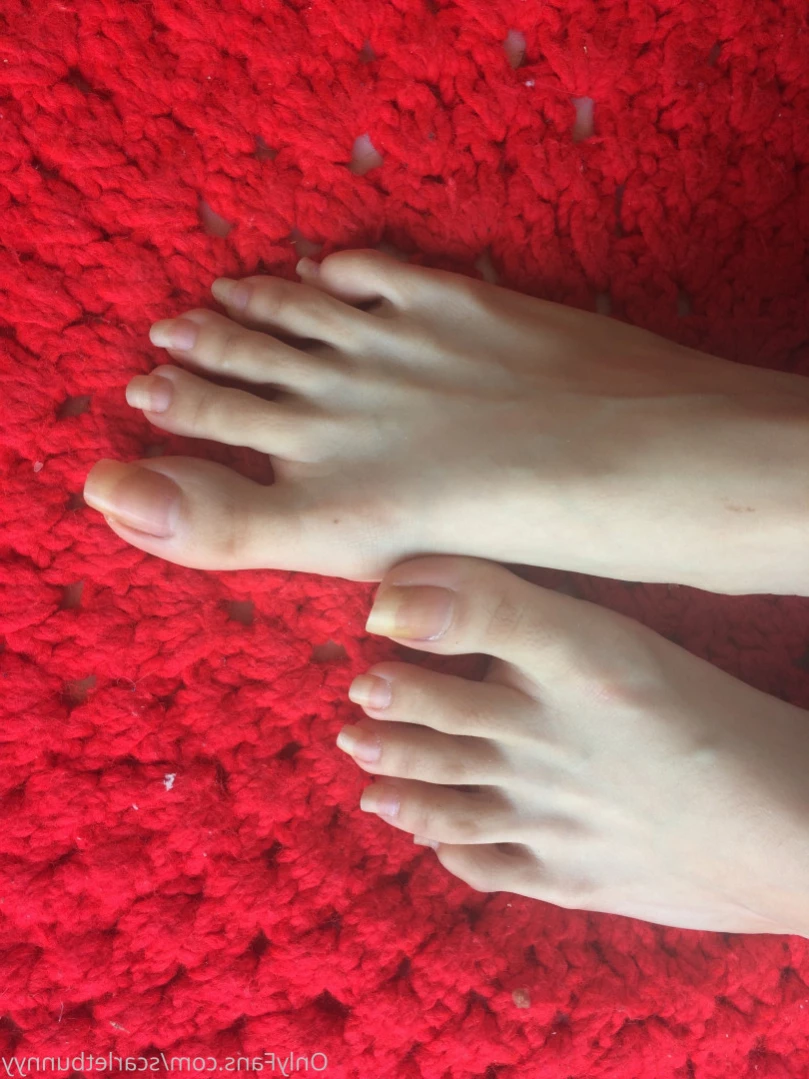 ScarletBunny [ scarletbunnyy ] Onlyfans leaked photo 14817293 on Hotleaks.tv