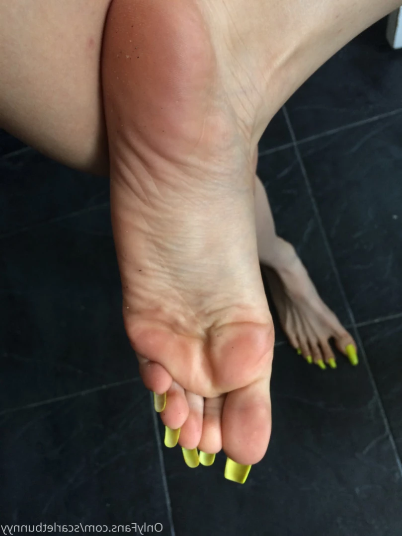 ScarletBunny [ scarletbunnyy ] Onlyfans leaked photo 14826204 on Hotleaks.tv