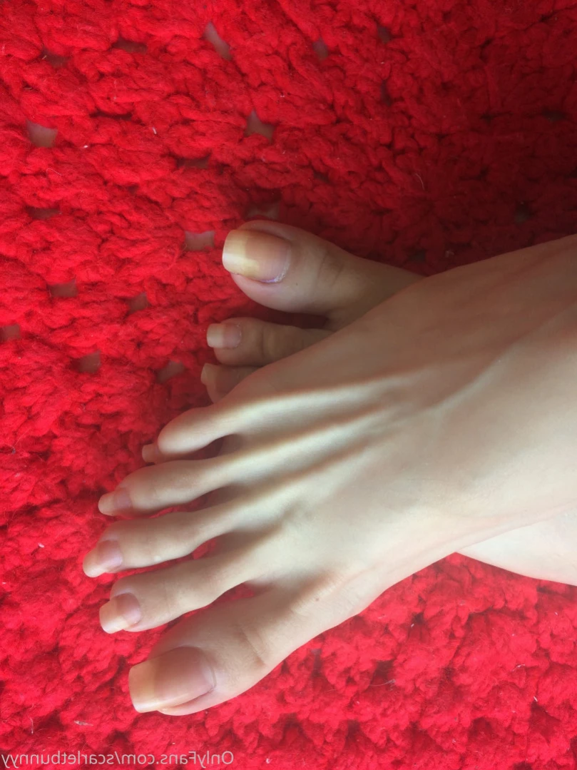 ScarletBunny [ scarletbunnyy ] Onlyfans leaked photo 14996640 on Hotleaks.tv