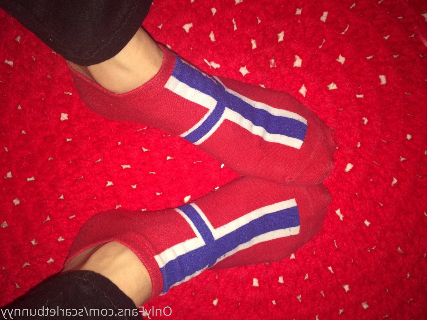 ScarletBunny [ scarletbunnyy ] Onlyfans leaked photo 15012345 on Hotleaks.tv