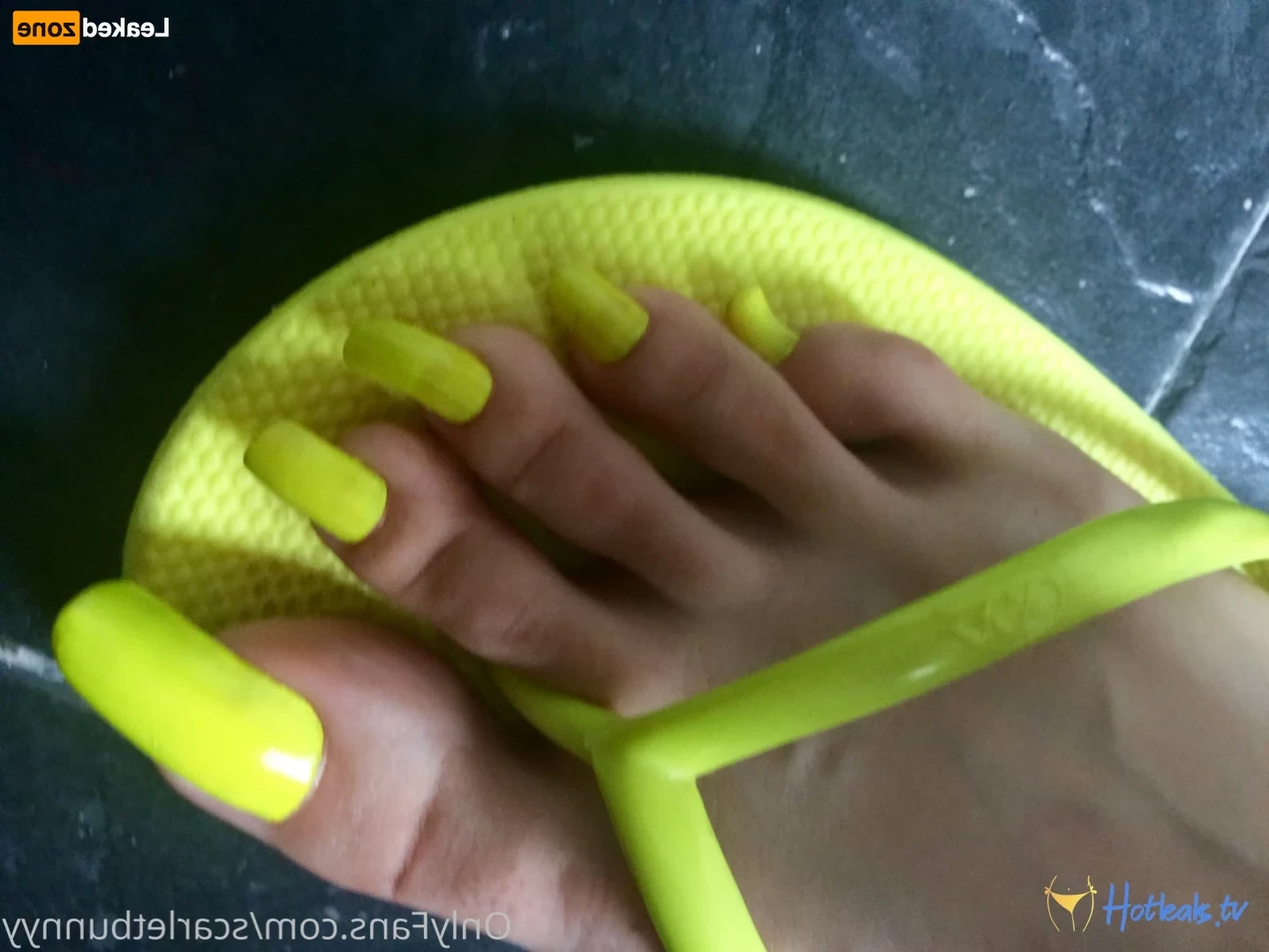 ScarletBunny [ scarletbunnyy ] Onlyfans leaked photo 15737900 on Hotleaks.tv