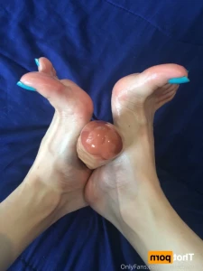 16052466
