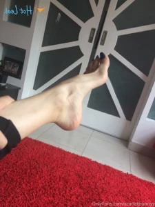 16204867