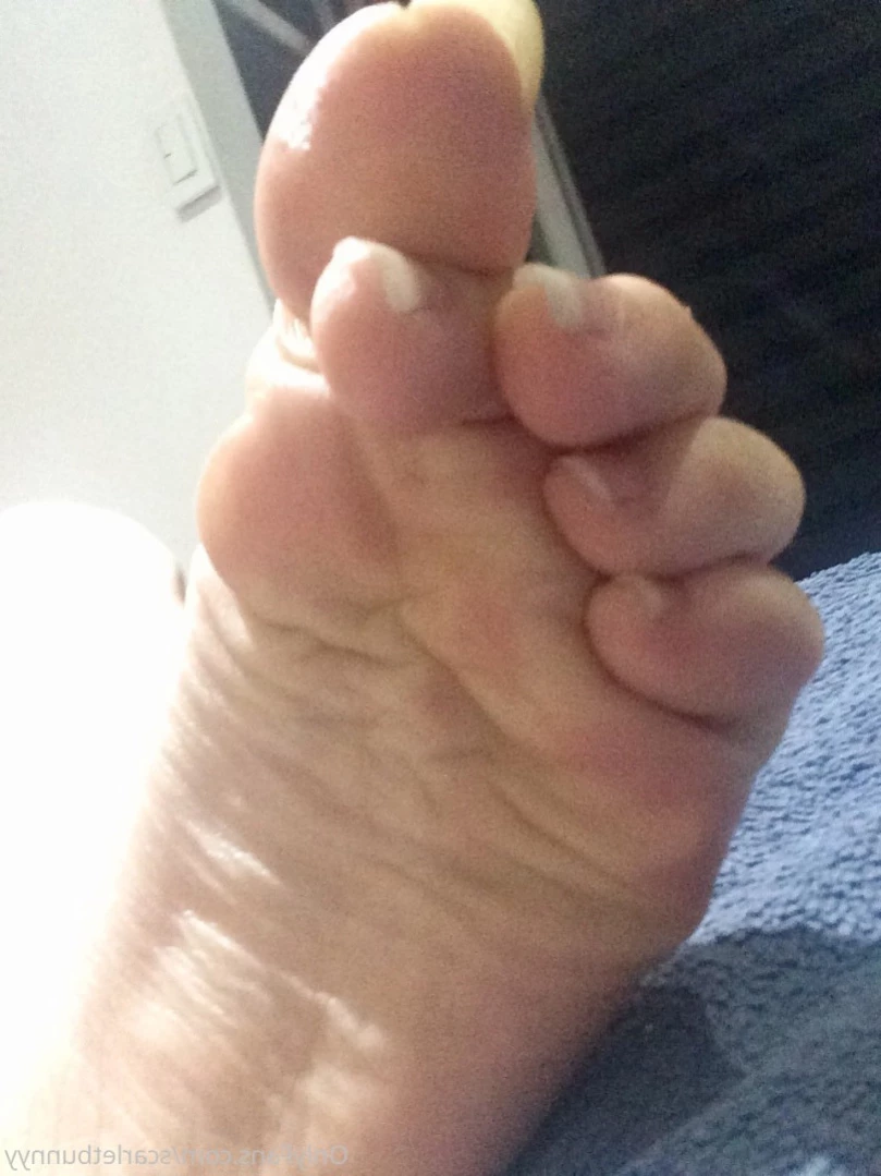 ScarletBunny [ scarletbunnyy ] Onlyfans leaked photo 16226410 on Hotleaks.tv