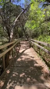 Scarlett Rae | Exposing my Wild Life [ scarlett_rae3 ] Onlyfans leaked video 7975672 on Hotleaks.tv